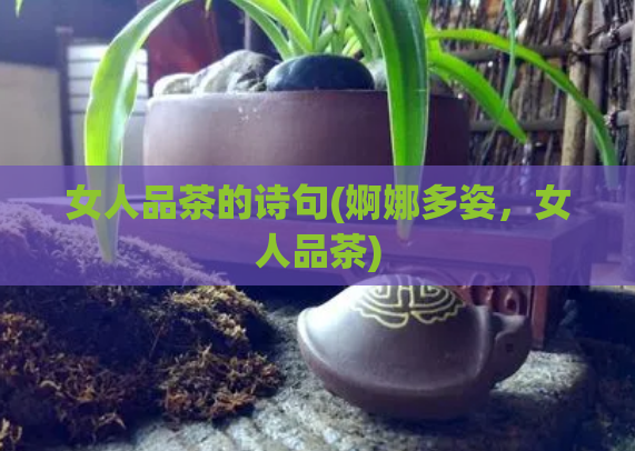 女人品茶的诗句(婀娜多姿,女人品茶)