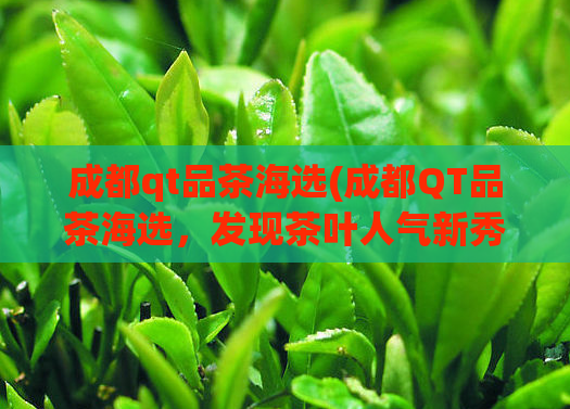 成都qt品茶海选(成都QT品茶海选，发现茶叶人气新秀！)