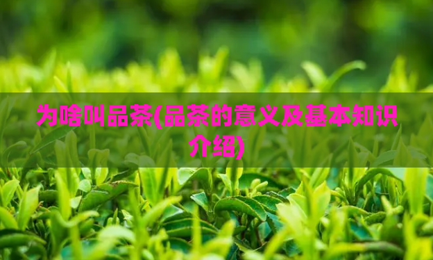 为啥叫品茶(品茶的意义及基本知识介绍)