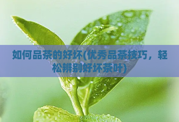 如何品茶的好坏(优秀品茶技巧，轻松辨别好坏茶叶)