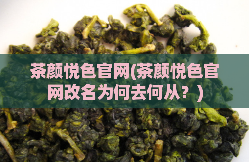 茶颜悦色官网(茶颜悦色官网改名为何去何从？)