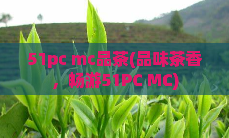 51pc mc品茶(品味茶香，畅游51PC MC)