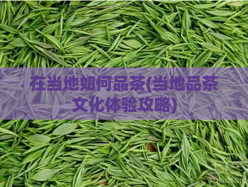在当地如何品茶(当地品茶文化体验攻略)