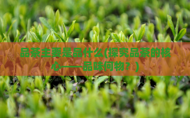 品茶主要是品什么(探究品茶的核心——品味何物？)
