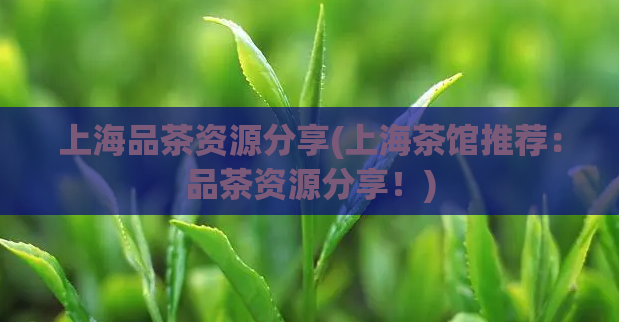 上海品茶资源分享(上海茶馆推荐：品茶资源分享！)