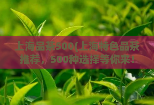 上海品茶500(上海特色品茶推荐，500种选择等你来！)