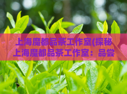 上海魔都品茶工作室(探秘上海魔都品茶工作室：品尝优质茶叶的最佳去处)