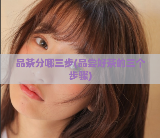 品茶分哪三步(品尝好茶的三个步骤)