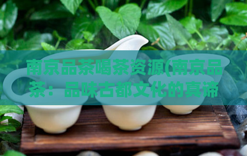 南京品茶喝茶资源(南京品茶：品味古都文化的真谛)
