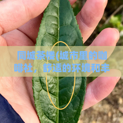 同城茶楼(城市里的咖啡社，舒适的环境和丰富的选择)