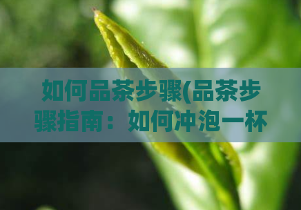 如何品茶步骤(品茶步骤指南:如何冲泡一杯香气扑鼻的优质茶)