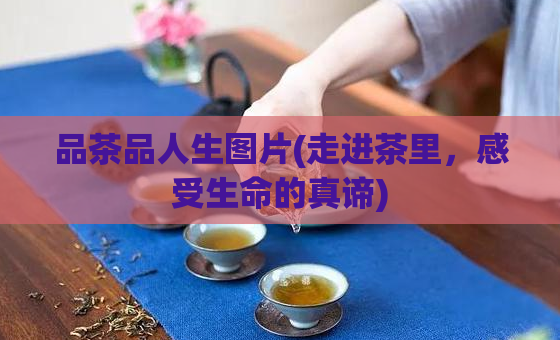 品茶品人生图片(走进茶里，感受生命的真谛)