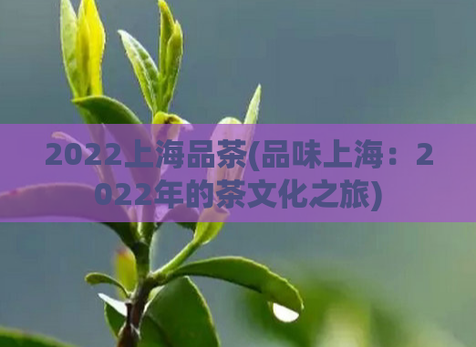 2022上海品茶(品味上海：2022年的茶文化之旅)