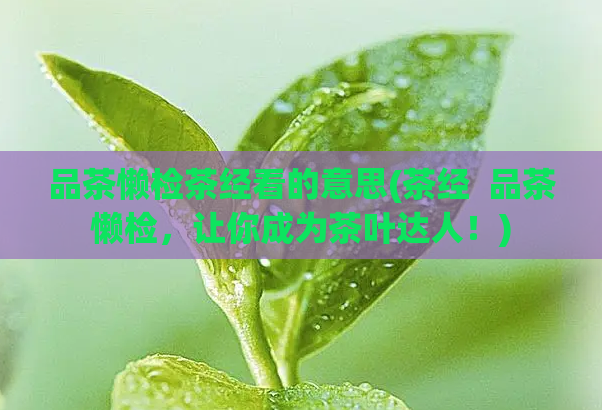 品茶懒检茶经看的意思(茶经  品茶懒检，让你成为茶叶达人！)