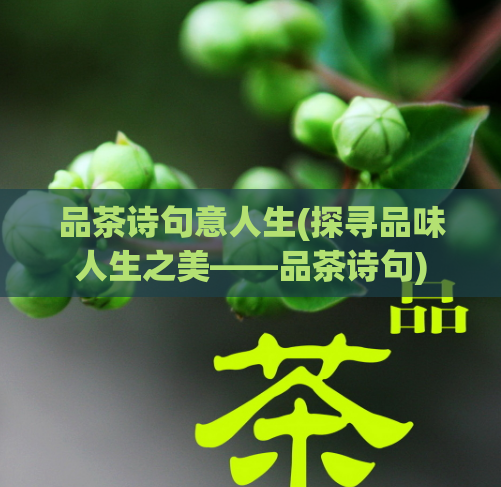 品茶诗句意人生(探寻品味人生之美——品茶诗句)