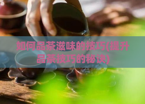 如何品茶滋味的技巧(提升品茶技巧的秘诀)