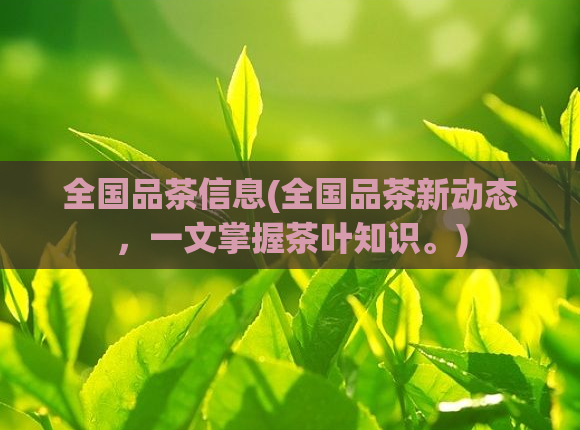 全国品茶信息(全国品茶新动态，一文掌握茶叶知识。)