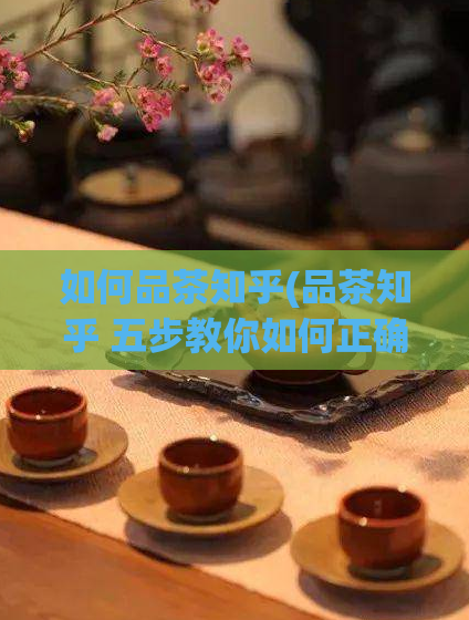 如何品茶知乎(品茶知乎 五步教你如何正确品茶)