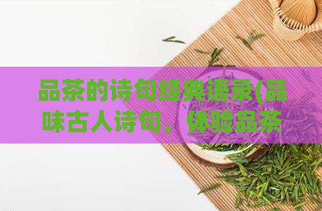 品茶的诗句经典语录(品味古人诗句,体验品茶文化)
