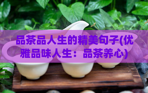 品茶品人生的精美句子(优雅品味人生：品茶养心)