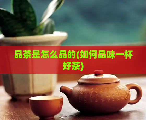 品茶是怎么品的(如何品味一杯好茶)