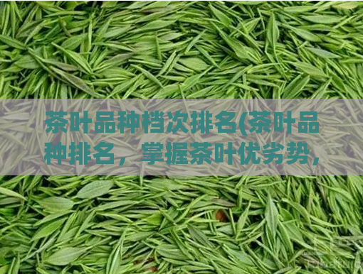 茶叶品种档次排名(茶叶品种排名,掌握茶叶优劣势,提升品质!)