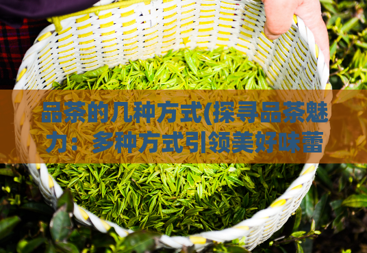 品茶的几种方式(探寻品茶魅力：多种方式引领美好味蕾体验)