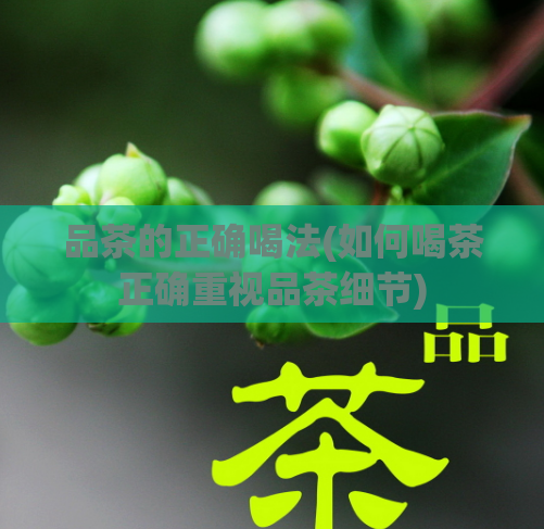 品茶的正确喝法(如何喝茶正确重视品茶细节)
