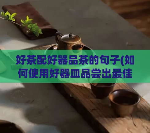 好茶配好器品茶的句子(如何使用好器皿品尝出最佳口感的优质茶饮)