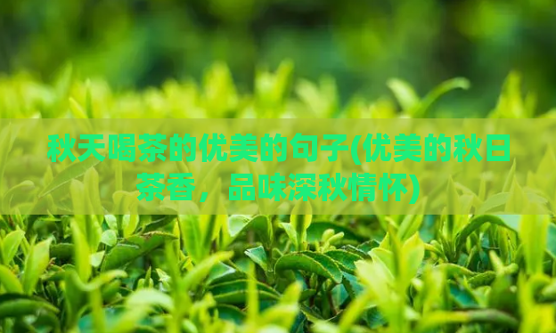 秋天喝茶的优美的句子(优美的秋日茶香，品味深秋情怀)