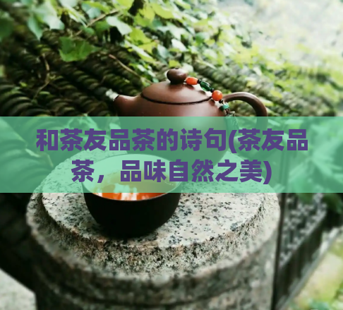 和茶友品茶的诗句(茶友品茶，品味自然之美)