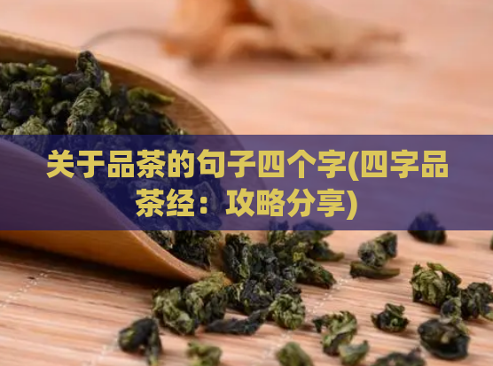 关于品茶的句子四个字(四字品茶经：攻略分享)