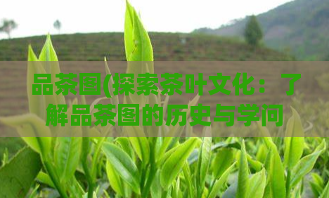 品茶图(探索茶叶文化:了解品茶图的历史与学问)