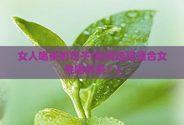 女人喝茶的句子(如何选择适合女性喝的茶?)