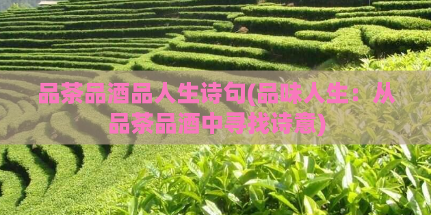 品茶品酒品人生诗句(品味人生：从品茶品酒中寻找诗意)