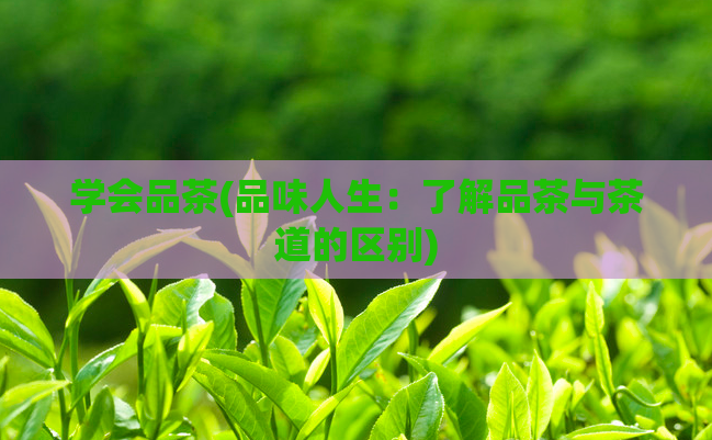 学会品茶(品味人生：了解品茶与茶道的区别)