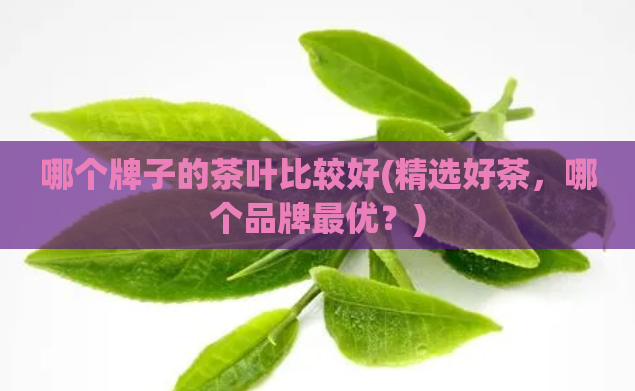 哪个牌子的茶叶比较好(精选好茶,哪个品牌最优?)