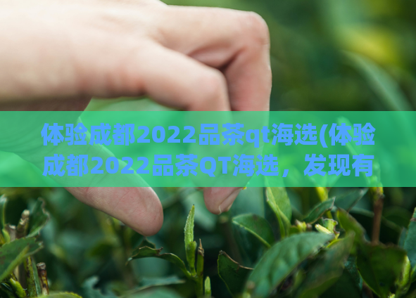 体验成都2022品茶qt海选(体验成都2022品茶QT海选，发现有趣味与美味的新选择)