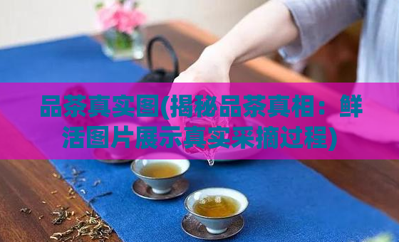 品茶真实图(揭秘品茶真相:鲜活图片展示真实采摘过程)