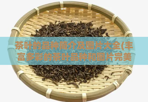 茶叶的品种简介及图片大全(丰富多彩的茶叶品种和图片完美展示)