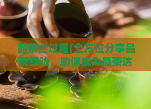 品茶全过程(全方位分享品茶经验,助你成为品茶达人)