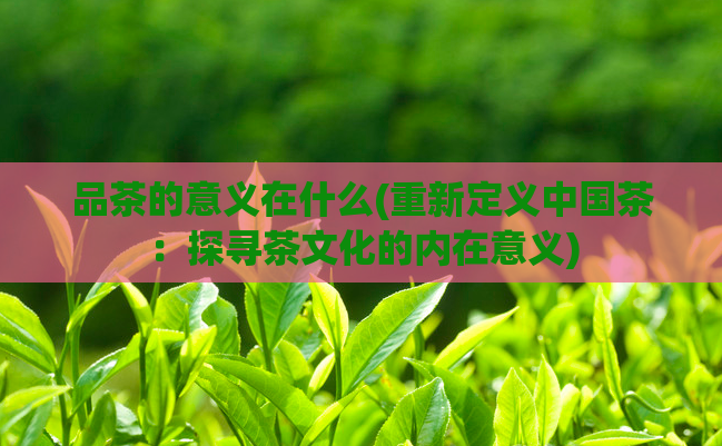 品茶的意义在什么(重新定义中国茶：探寻茶文化的内在意义)