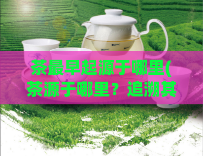 茶最早起源于哪里(茶源于哪里？追溯其历史和文化渊源)