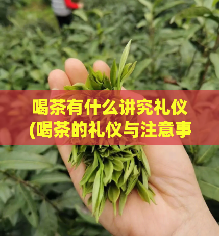 喝茶有什么讲究礼仪(喝茶的礼仪与注意事项)