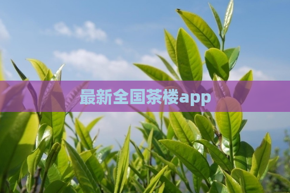 最新全国茶楼app