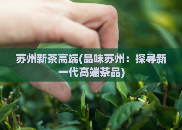 苏州新茶高端(品味苏州：探寻新一代高端茶品)