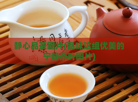 静心品茶图片(品味这组优美的宁静茶叶图片)