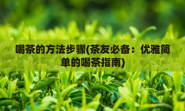 喝茶的方法步骤(茶友必备：优雅简单的喝茶指南)