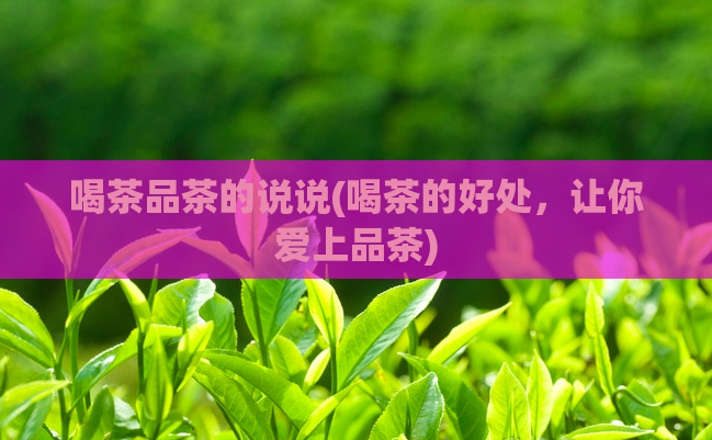 喝茶品茶的说说(喝茶的好处，让你爱上品茶)