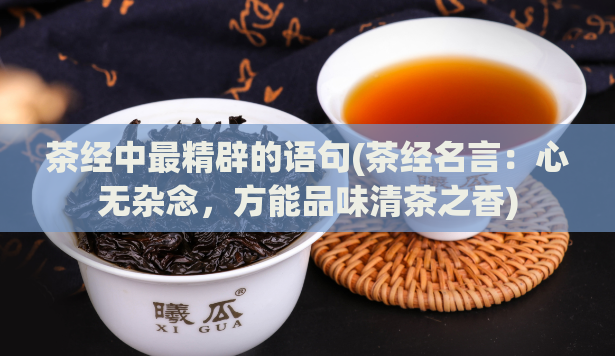 茶经中最精辟的语句(茶经名言：心无杂念，方能品味清茶之香)